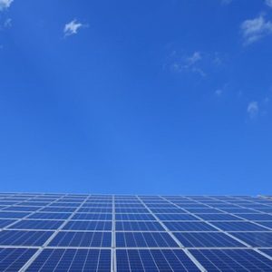 Blue Solar Panels Under Sunny Sky